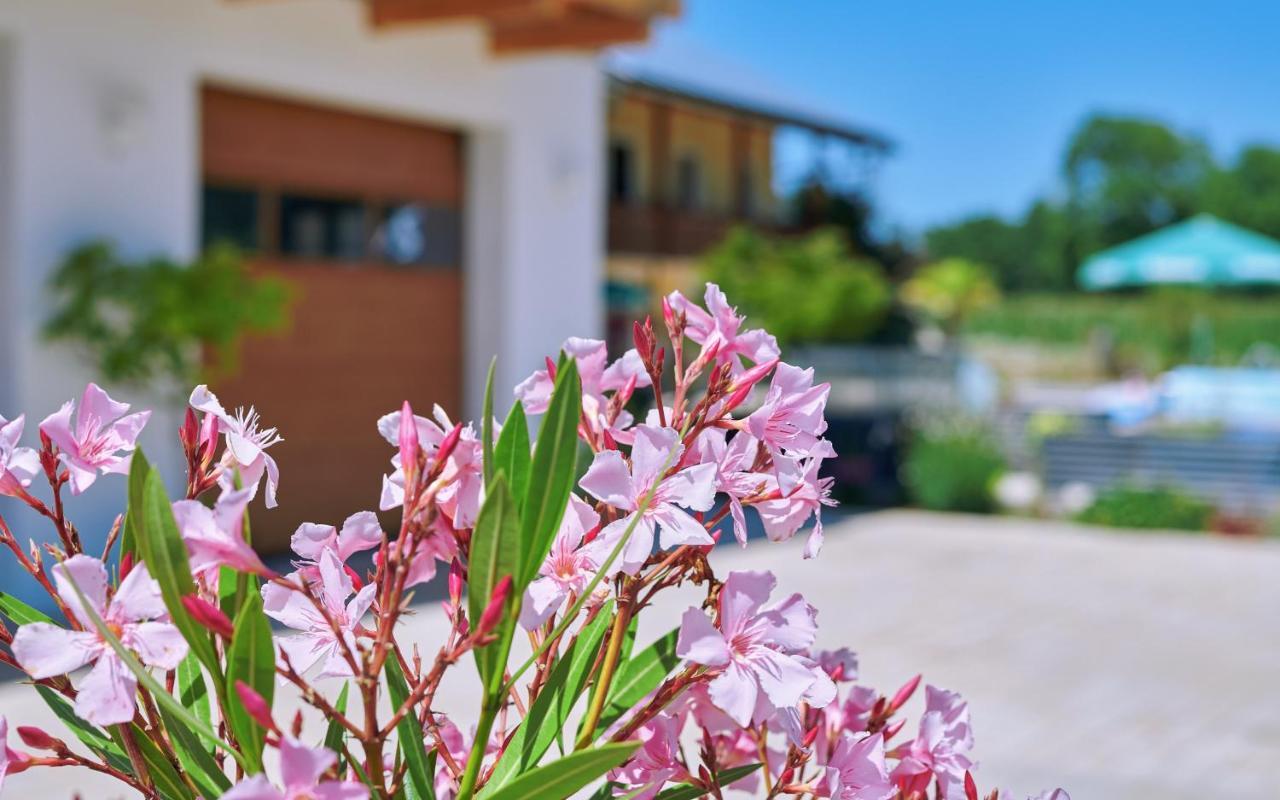 Ferienwohnung Tittmoning Zwischen Salzburg Und Burghausen Exterior foto